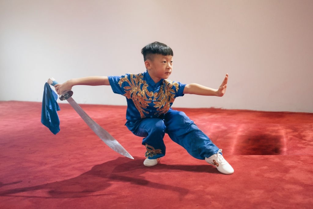 Wushu / Kung Fu